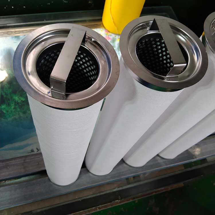 BE096520F020BQ(LCS2B1AH)聚結濾芯-(6)